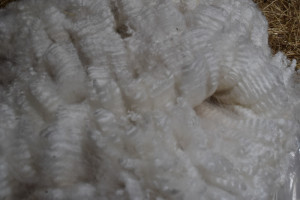 royal-asscher-bagged-fleece